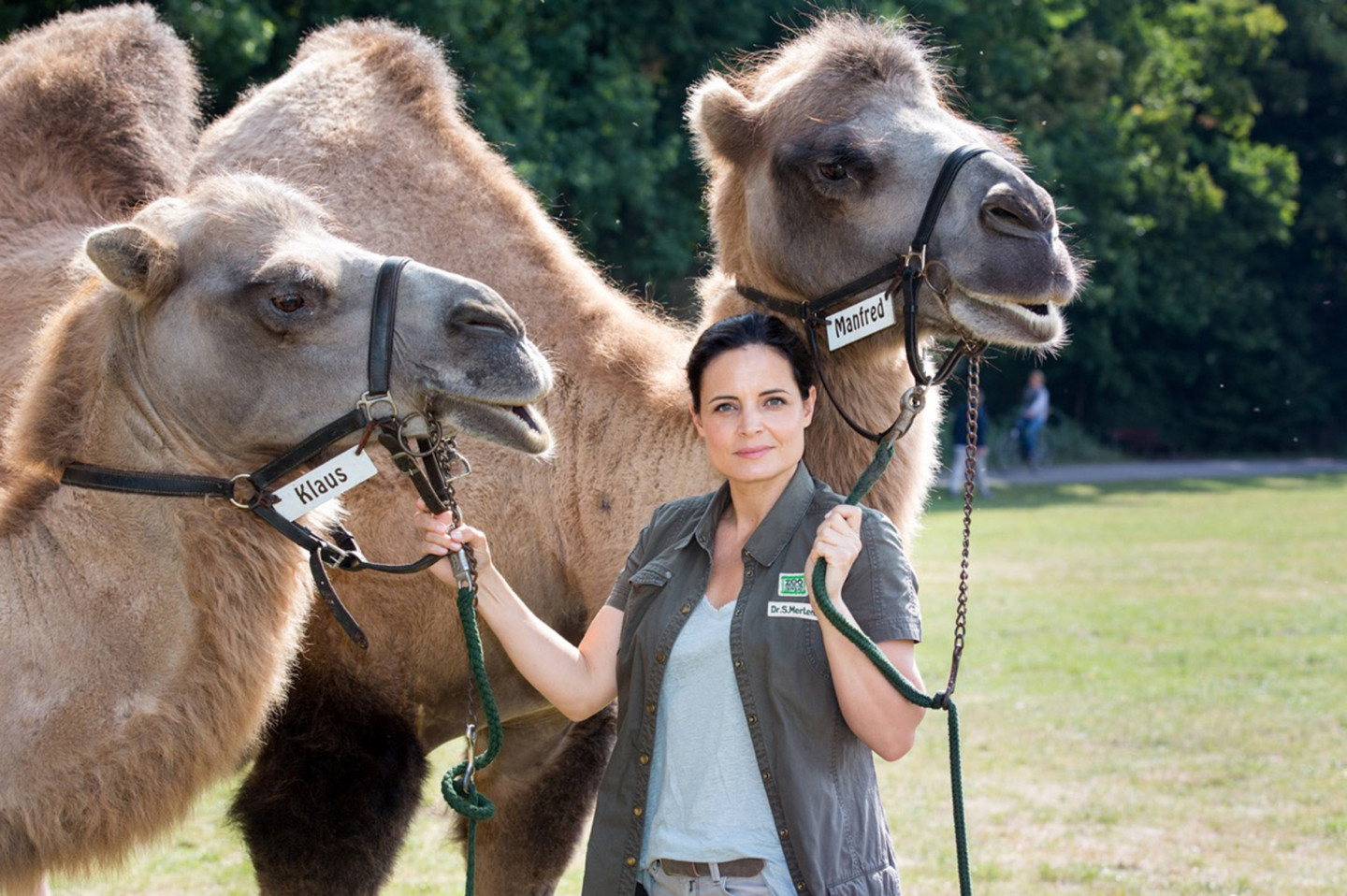 Ab 23. August 2016 im Ersten: 13 neue Folgen „Tierärztin Dr. Mertens" | Bavaria Film GmbH